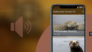 Rattlesnake Sounds Screenshot 0