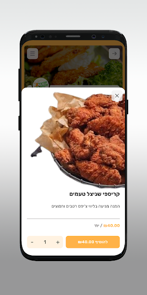 שניצל אקספרס Screenshot 3