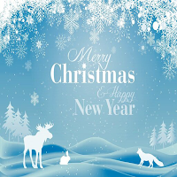 Merry christmas happy new year