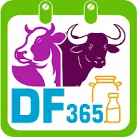 DF365