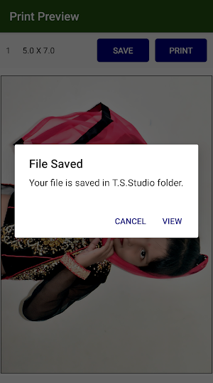 T.S. Studio Pro Screenshot 3