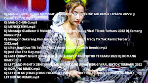 Dj sikok bagi duo Screenshot 0