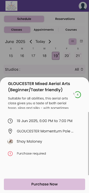 Momentum Pole & Aerial Screenshot 0