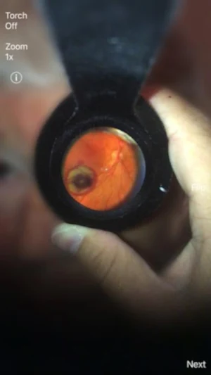 oDocs Capture Screenshot 0