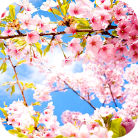 Spring Wallpaper 2024