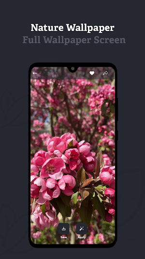Nature Wallpaper Screenshot 2