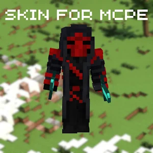 Skins For MCPE Screenshot 1