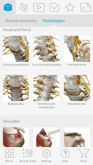 Muscle Premium - Human Anatomy, Kinesiology, Bones Screenshot 1