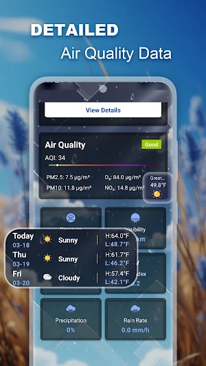 Weather Forecast & Launcher Screenshot 0