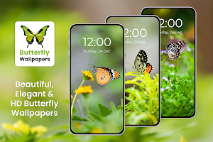 Cute HD Butterfly Wallpapers Screenshot 2