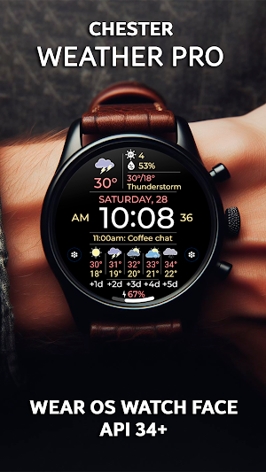 Chester Weather Pro Screenshot 0