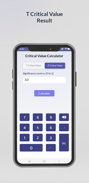 Critical Value Calculator Screenshot 3