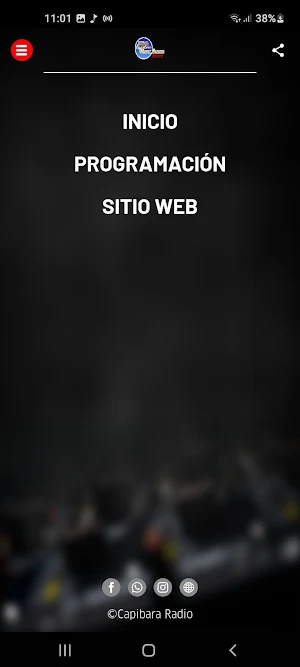 Capibara Radio Screenshot 2