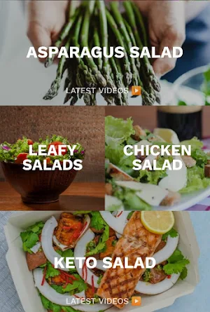 Salad Recipes for Weight Loss Screenshot 3