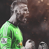 Goalkeeper Wallpapers UHD