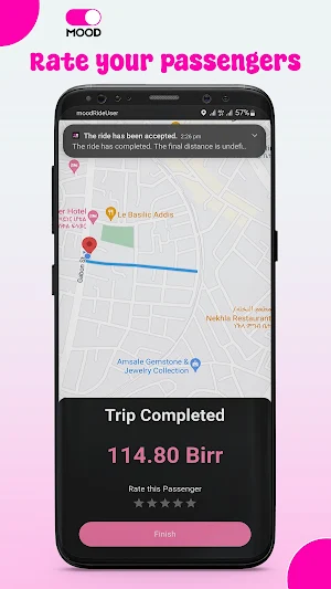 Mood Ride Driver Screenshot 2