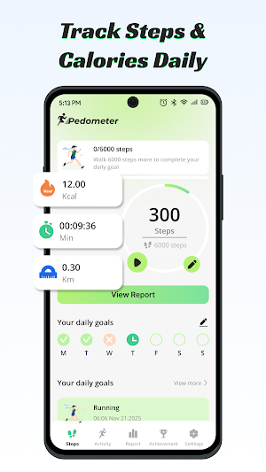 Step Diary – Daily Pedometer Screenshot 0