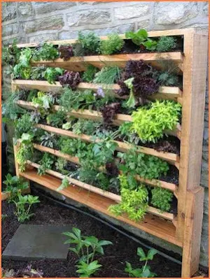 DIY Gardening Ideas Screenshot 3