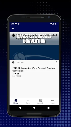 World Baseball and Softball CC Screenshot 2