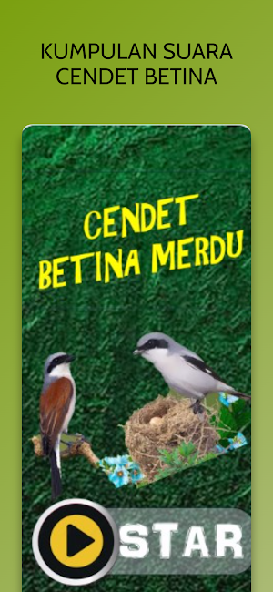 Suara Burung Cendet Betina Screenshot 0
