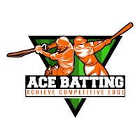 ACE Batting Scanner