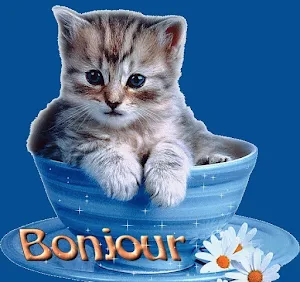 Bonjour Screenshot 2