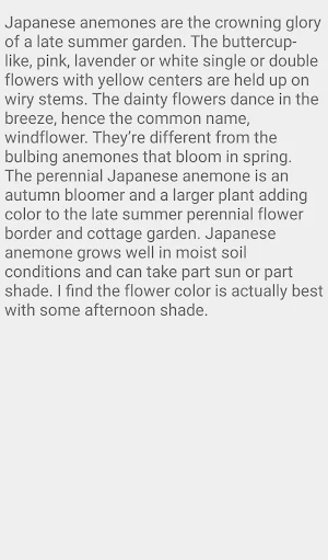 Japanese Anemone Screenshot 1