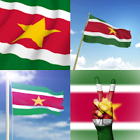 Suriname Flag Wallpaper: Flags, Country HD Images