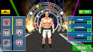 Wrestling Fighting Champions Screenshot 3