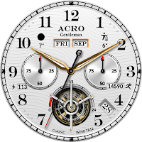 ACRO 29 Classic wind TA12Watch