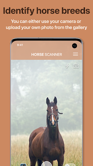 Horse Scanner – Horse Breed Identification Screenshot 0