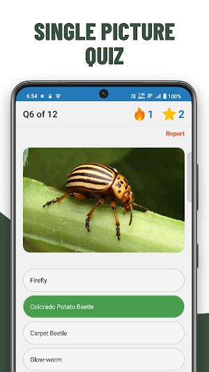 Insects Quiz Screenshot 3