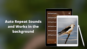 Bald Eagle Sounds Screenshot 2