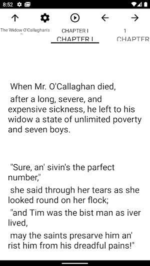 Book, The Widow O'Callaghan's Boys Screenshot 1