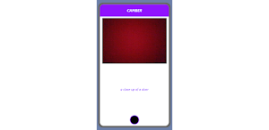 CAMBER Screenshot 3