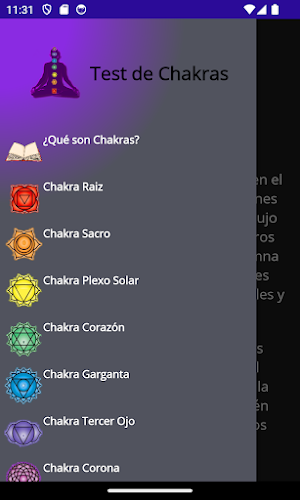 Chakras Test Screenshot 0