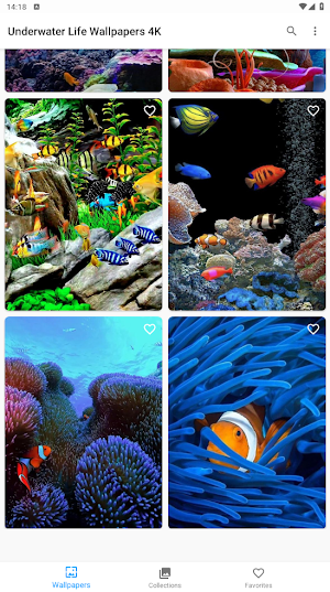 Underwater Life Wallpapers 4K Screenshot 3