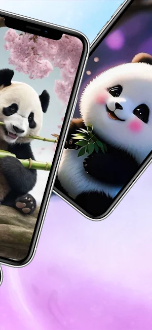 Cute Sweet Panda Wallpaper HD Screenshot 2