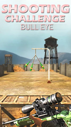 Shooting Challenge Bull Eye screenshot 4