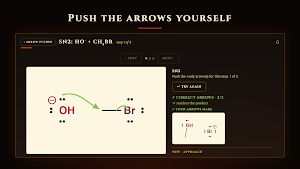 Total Synthesis: Ochem Study Screenshot 2