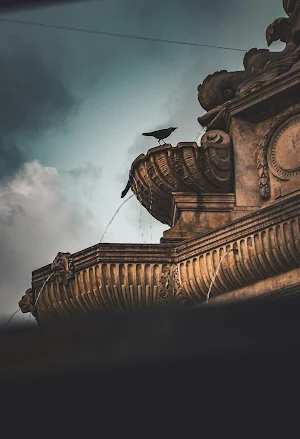 Crows Wallpapers Screenshot 2