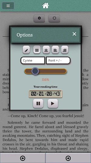 Ulysses James Joyce Screenshot 1