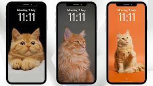 Orange Cat Wallpaper Screenshot 0