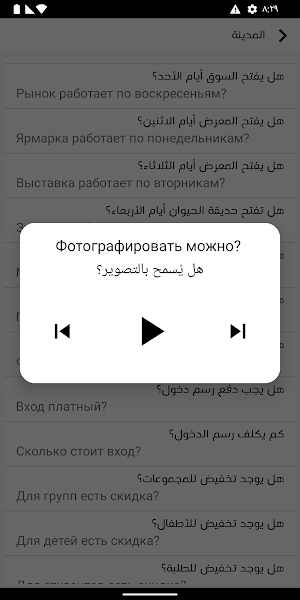 Learn Russian no Internet Screenshot 2