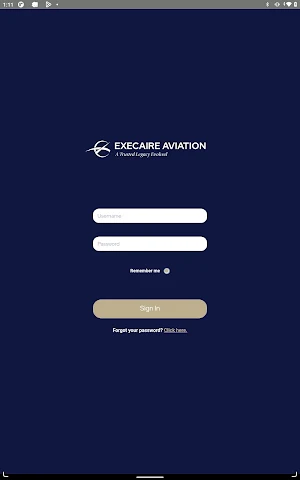 FlyExecaire Screenshot 3