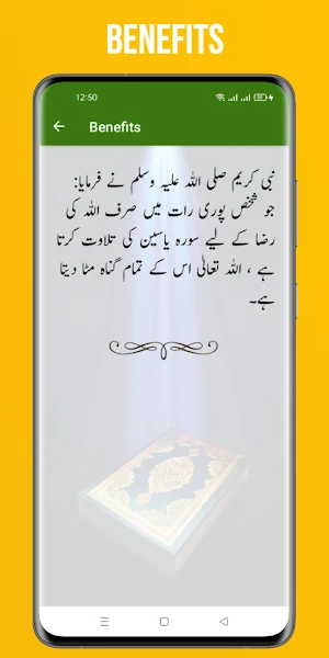 Surah Yasin Offline - Audio Screenshot 0