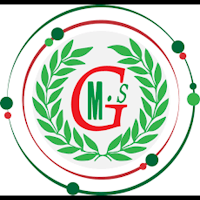 Maali Elsalam School