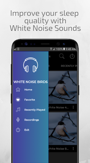 White Noise Birds Noise Screenshot 0