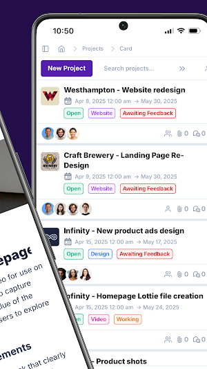 Project.co V3 Screenshot 1