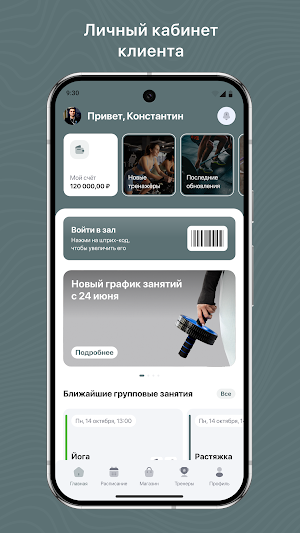 Академия льда Screenshot 2